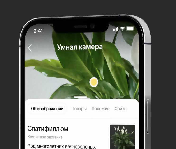 Как работает поиск с умной камерой «Яндекса» — полный гайд